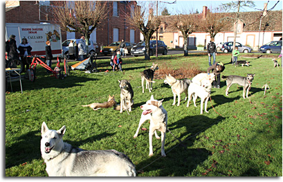 Marché de Noël de Chaon 2013